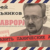 Ждёт ли Россию социально-экономическая катастрофа (Андрей Школьников)